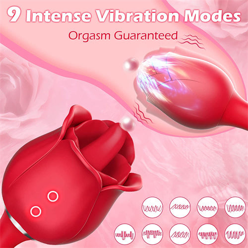 3 in 1 Vibrator for G spot Stimulation Gloria